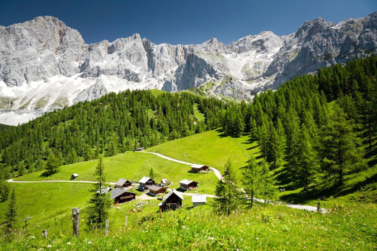 Apartman Ramsau Ramsau am Dachstein Εξωτερικό φωτογραφία